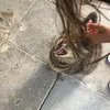 yoberobedobe
