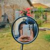 chitatolite29_