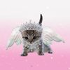 oxid_ox