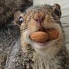 nutty_af