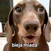 dulbcorra