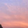 georgia.ems