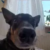 lilmagdzia