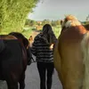 ki_wy