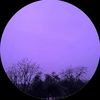 darkshadow42069
