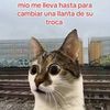 tay28296