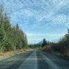 colderinalaska