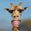 valengonzalezs