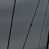 871442890_