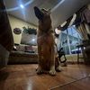 gomez_0229