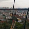 freddyvelasquezar