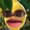 limonlyfe