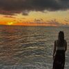 rose_1432