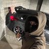 iceymedia
