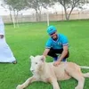 rafiaraza