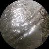sumayyya_omar