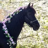 friesian_ellen
