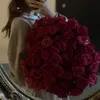 ivsertaail