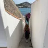 febe_passchier