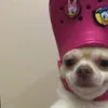 weyndeng