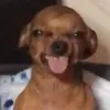 james_puuurr