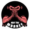 monkeymuaythai