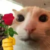 unclejovie