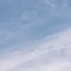 euiifel