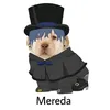mrsoockk