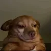 charlemve