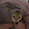 itsrubiz5