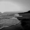 janina.buerhaus01