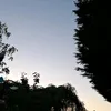 icl_drc