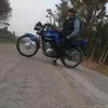 luismanuelfernan1