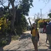 lapadnene