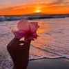 __oceeanee