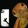 kouim.g