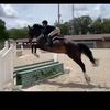 bugg_787