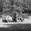 cricrilafolle