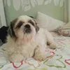maryjayg