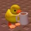 icedoatlatte_