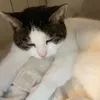 imogendaly_