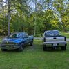 thatsilverbirch6.6