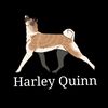 harley.quinn.the.akita