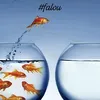 dudalindas69