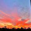 averyparks.0806