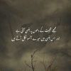 mubashrahaseeb24