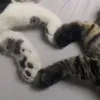 frogybiney