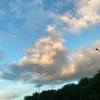 nicolenico19