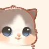 anuuskm